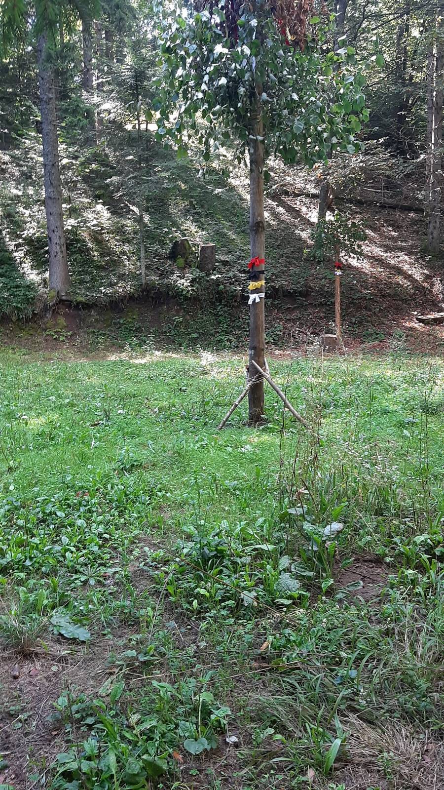 Prostor boravka u šumi